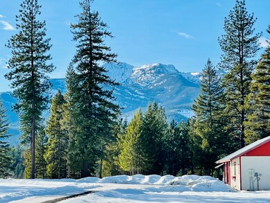 217 Snowy View Drive