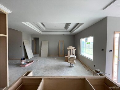 817 Hawk St, Alamo, TX 78516 - photo 7