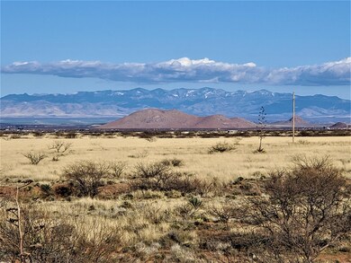Chiricahua Mts. to the East