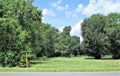 13010 E Hufsmith Rd, Tomball, TX 77375 - photo 2