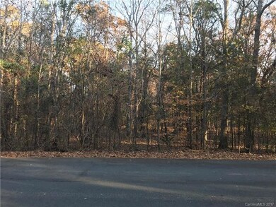 4366 Whitetail Ln unit 9, Midland, NC 28107 - photo 5