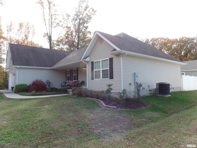 235 Pin Oak Ln, Harrisburg, IL 62946 - photo 3