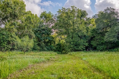 View of wooded area