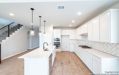 25035 Las Pilas, San Antonio, TX 78261 - photo 5