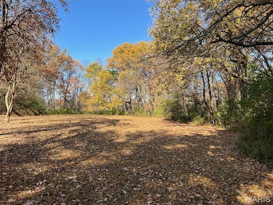 View of local wilderness