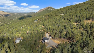 33884 Bergen View Trail unit 197153, Evergreen, CO 80439 - photo 6