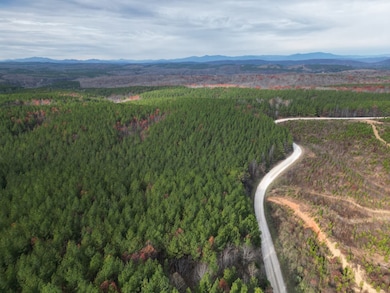 606 Spears Mountain Rd, Wingina, VA 24599 - photo 3