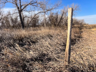 12120 Hwy 59, Sedgwick, CO 80749 - photo 3