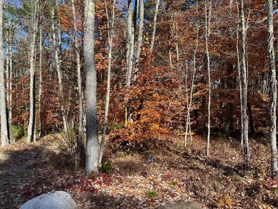 0 Old Goshen Rd unit 5020133, Conway, NH 03813 - photo 2