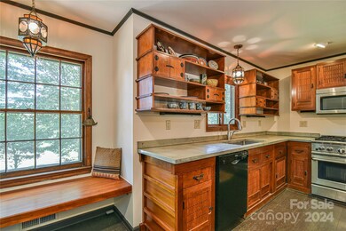 432 Turkey Creek Rd, Leicester, NC 28748 - photo 6