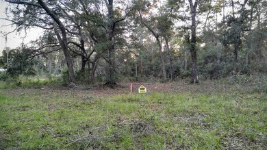 0 Imaginary Ln unit 263416, Crawfordville, FL 32327 - photo 2