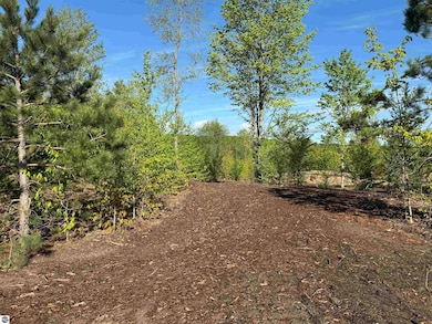 1060 E Solaris Way, Maple City, MI 49664 - photo 6