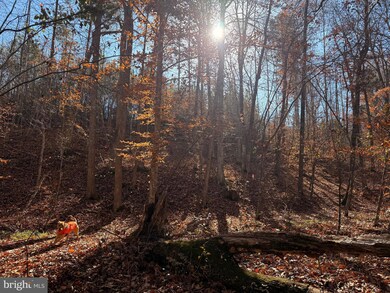 0 Hardware Rd unit VABH2000240, Scottsville, VA 24590 - photo 3