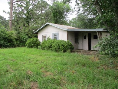 2176 Buttercup Ln, Pelham, GA 31779 - photo 4