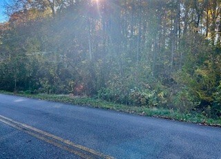 6 Lakeshore Dr, McMinnville, TN 37110 - photo 2