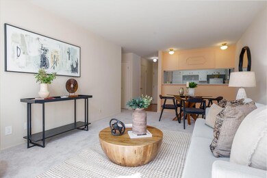 222 Laurel St unit U211, San Carlos, CA 94070 - photo 4