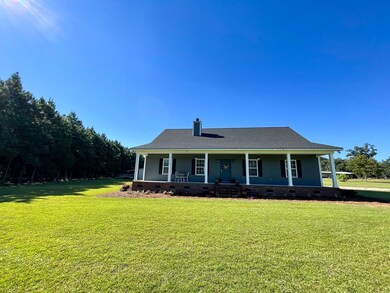 14183 Georgia 93, Baconton, GA 31716 - photo 2