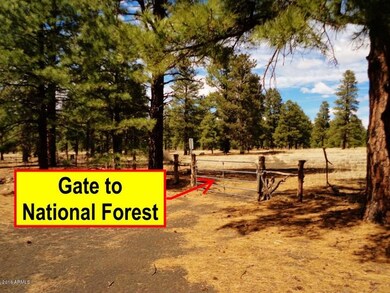 Gate to National Forest  (1024x768)