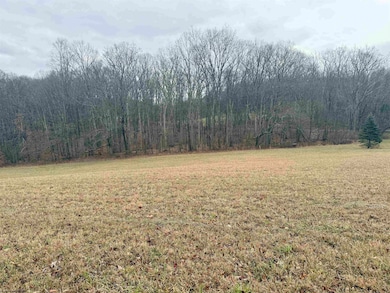 Lot 1 Ludwig Rd, Grafton, WV 26534 - photo 4