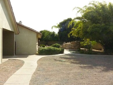 Back Yard 1