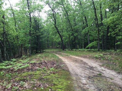 2090 W Calabash Ave, Merrill Township, MI 49309 - photo 2