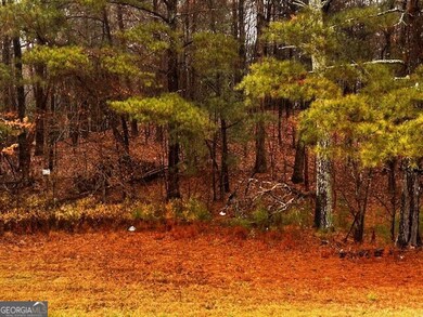 0 Talona Rd unit 10652283, Ellijay, GA 30540 - photo 7