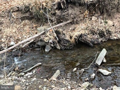 729 Stony Run Rd, Keyser, WV 26726 - photo 5