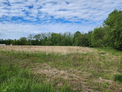 63362 Carver Rd, Vandalia, MI 49095 - photo 6