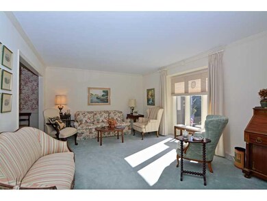 Living Room. Neutral tones and sunlight intertwine