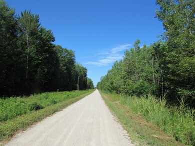 Road View