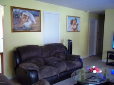 1185 Appenzeller Ave, Stroudsburg, PA 18360 - photo 7