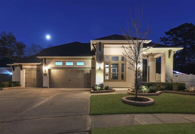 10402 Lake Palmetto Dr, Conroe, TX 77385 - photo 3