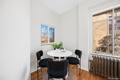 1100 E 16th Ave unit 3, Denver, CO 80218 - photo 5