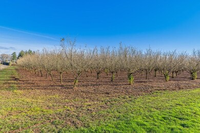 26050 SW Farmington Rd, Hillsboro, OR 97123 - photo 5