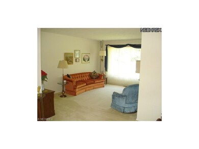 Neutral Decor