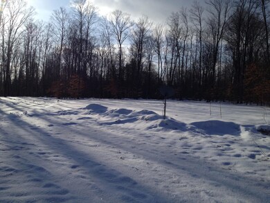 0 Elkland Dr unit 294275, Vanderbilt, MI 49795 - photo 3