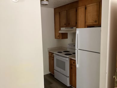 Kitchen with dark wood finished floors, white appl