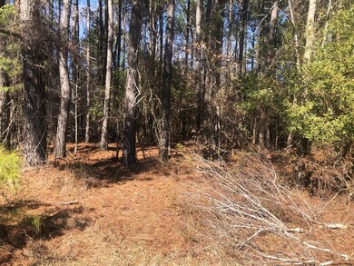 0 Sandbed Rd unit 168674, Pamplico, SC 29583 - photo 6