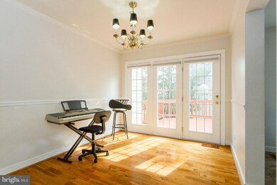 5105 Beauregard St, Alexandria, VA 22312 - photo 7