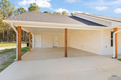 1725 Deanna Rd, Diana, TX 75640 - photo 4