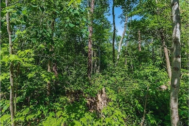 Corner Lucky Jog and Treasure Cove unit Garrison MN 56450, Garrison, MN 56450 - photo 4