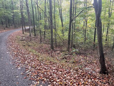 0 Macedonia Rd, Cookeville, TN 38506 - photo 4