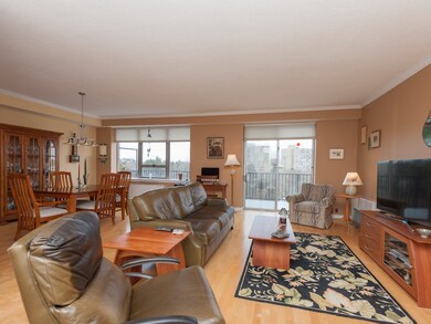 Imperial Towers unit 3, Chestnut Hill, MA 02467 - photo 4