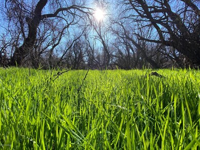 unlisted-address, Cornville, AZ 86325 - photo 3