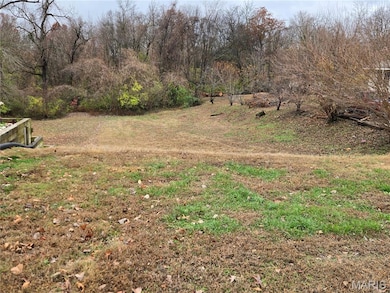 911 Lehmen Dr, Chester, IL 62233 - photo 5