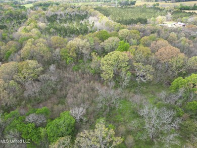 3591 U S 51, Madison, MS 39110 - photo 6