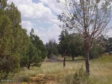 Pinedale Land2