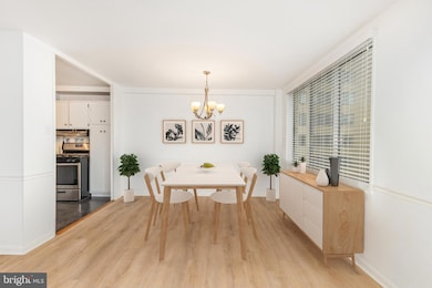 River Towers unit 317, Alexandria, VA 22307 - photo 5