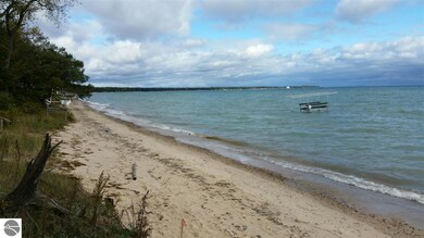 907 S Crescent Ave, Au Gres, MI 48703 - photo 5