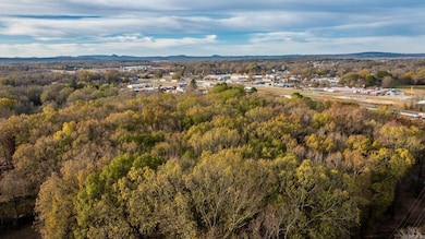 Tract 2 Joseph Rd, Mayflower, AR 72106 - photo 3